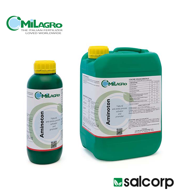 TRAZEX 1/1
